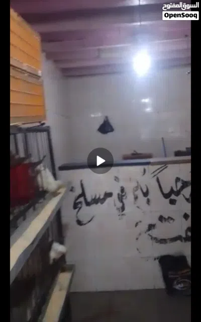 محل دجاج جاهز مديكر مصلح جاهز بكامل عدته بموقع حركه السنينه الشارع العام ايجار المحل 40 الف 4