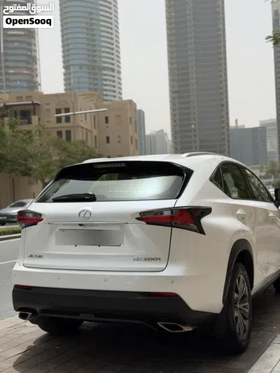 Lexus NX NX 350 F Sport Handling 2