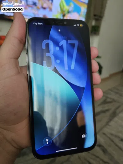 IPhone 12 Pro max 2
