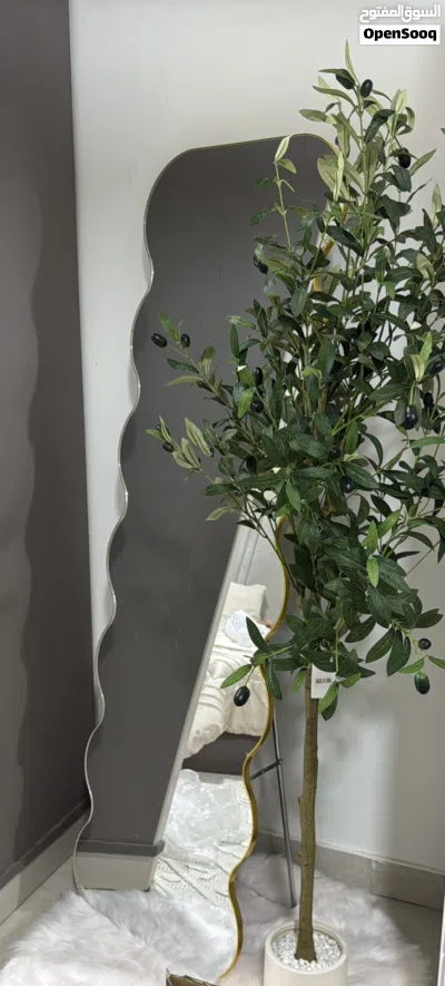 مرآه اثاث منزل 2