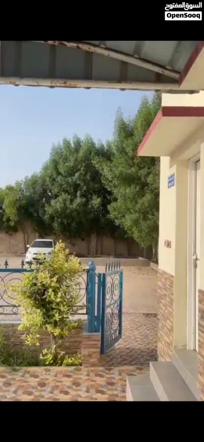 مزرعه للبيع في الباطنة 4