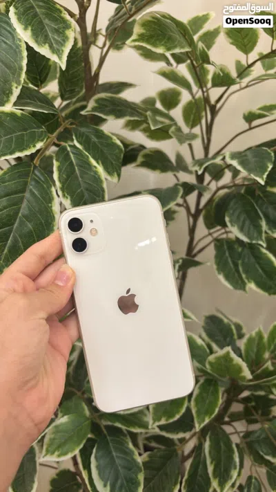 ايفون 11 ابيض 2