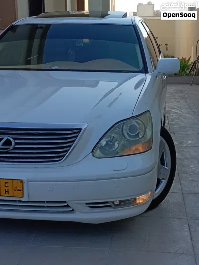 undefined 3
