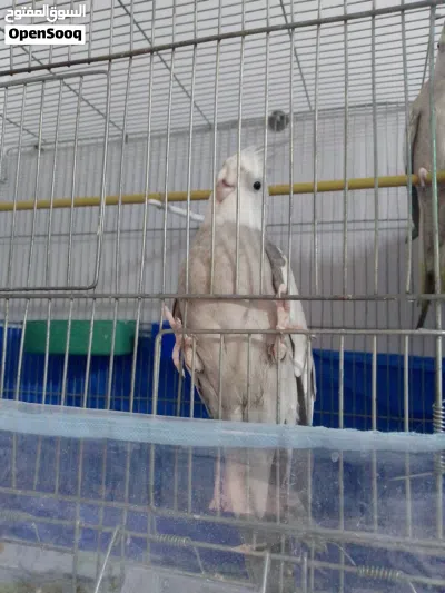 undefined 2
