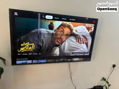 Sony Bravia 49 inch Smart TV (Display Damage) 2
