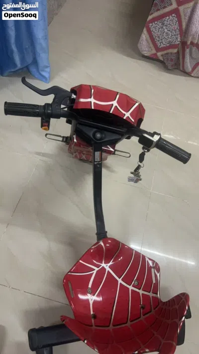 Three wheeler electric bike 4