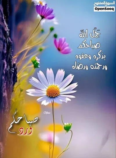 للبيع بيت سكني 3