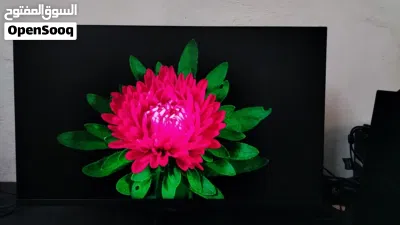 undefined 4