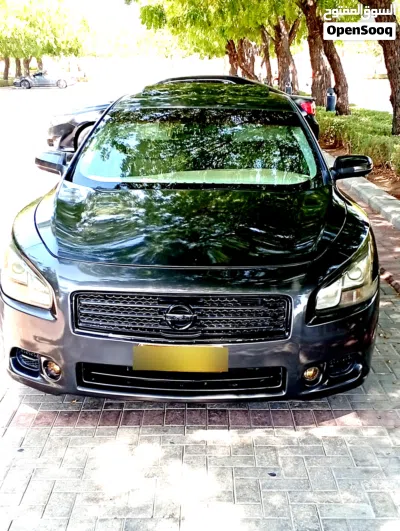 Nissan Maxima Standard 2