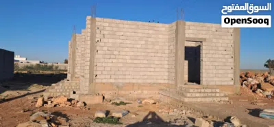 منورين منورين 3