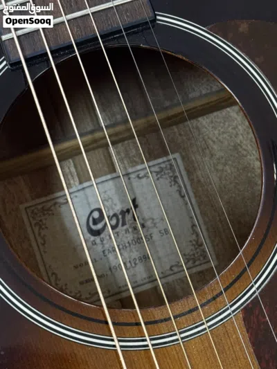 CORT Earth Electro Acoustic Guitar 2
