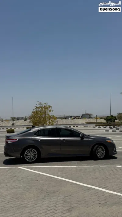 Toyota Camry XLE 4