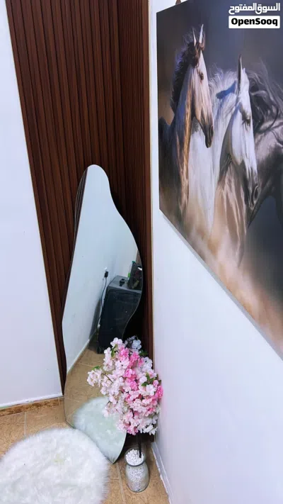 غرف الايجار اليومي او الشهري، عبري ( مرگز المدينه ) 4