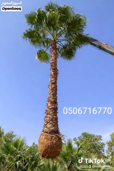 undefined 3