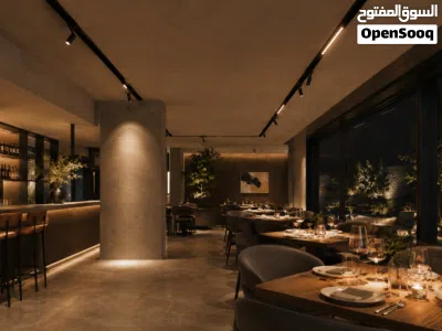Double Ceiling Recessed Magnetic Track Profile Loox / بروفايل ماجنتك تراك سقفي مخفي مزدوج Loox 3