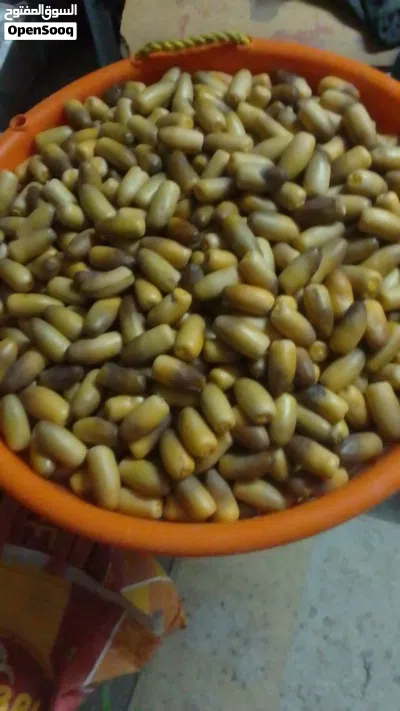 بيع رطب النغال ورطب الخنيزي بلجمله 3