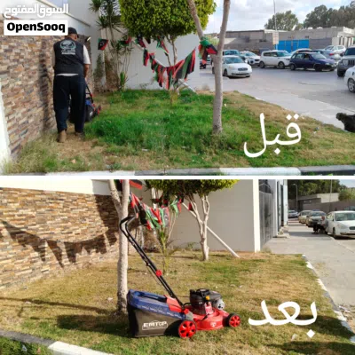 تقليم اشجار وتنسيق حدائق 2