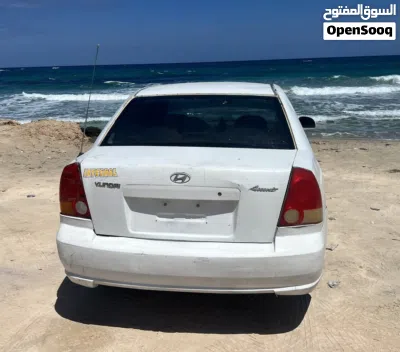 Hyundai Verna EX 3