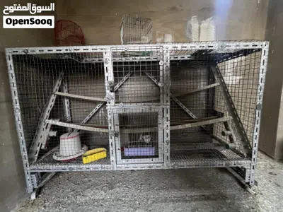 مطير عصافير حديد للإنتاج جماعي 3