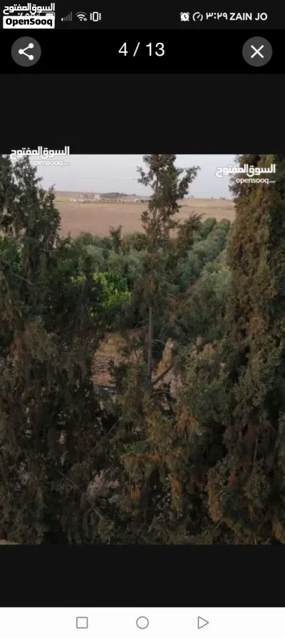 مزرعة مع منزل للبيع 2