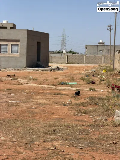 قطعة 500 متر شهادة عقارية 2