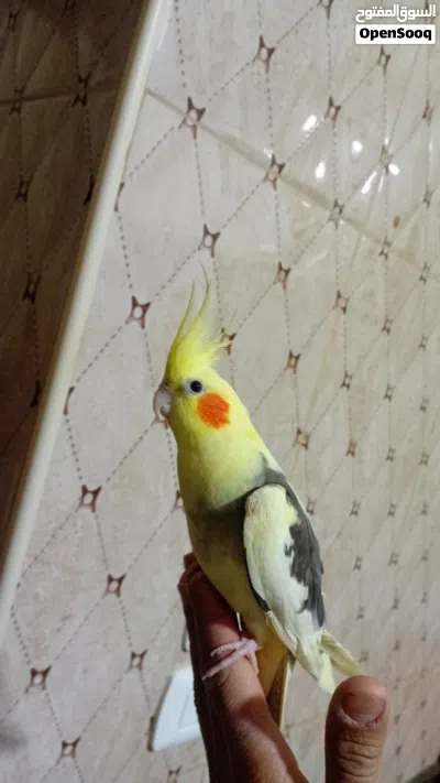 undefined 2