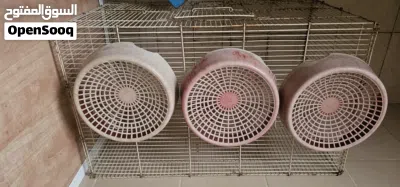 pigeon breeding bowl for sale 2