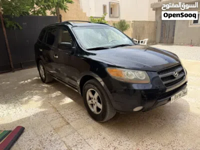 Hyundai Santa Fe Standard 3