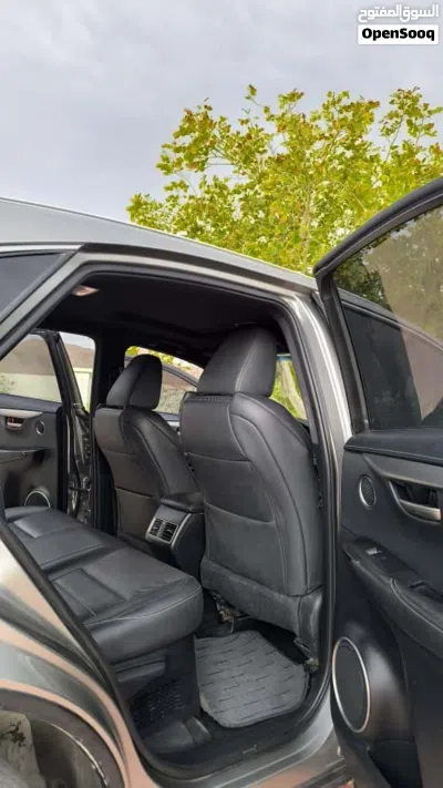 Lexus NX NX 250 3