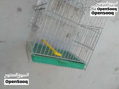 10 دينارر فقط 2