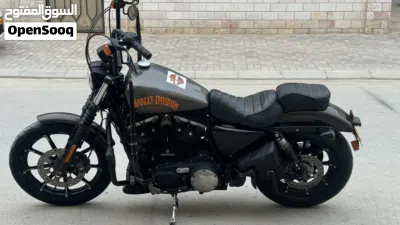 Harley Davidson Iron 883 3