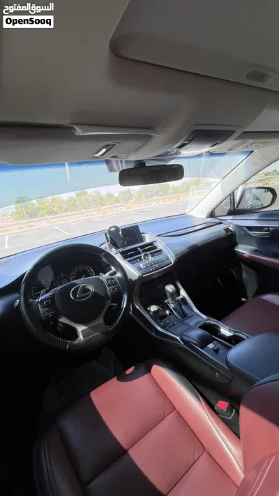Lexus NX Standard 3