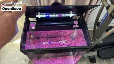 حوض سمك Aquarium 3