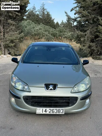بيجو 407 Standard 2