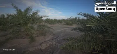 مزرعه لبيع في عبري الجفره 3