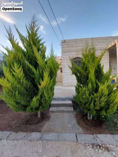 بيت للبيع الخالديه المبروكه 2