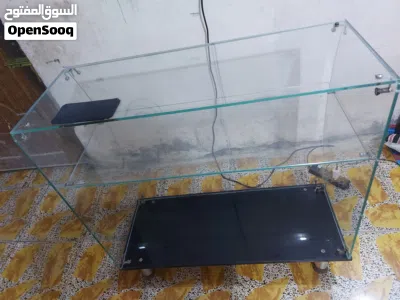 فاترينا جام بـ30 الف 4