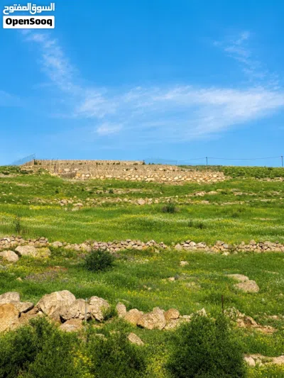 5 دونمات للبيع 3