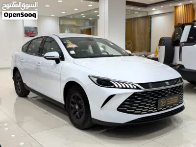 BYD Other 2