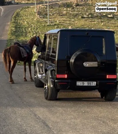 Mercedes Benz G-Class G 63 AMG 3