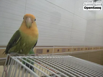 undefined 3