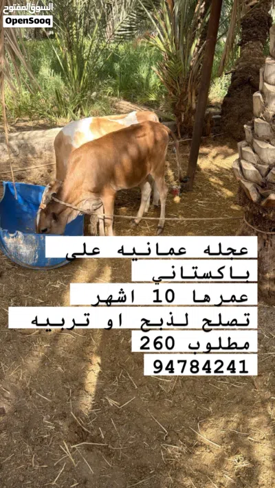 undefined 2