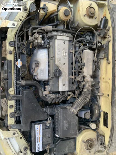 Hyundai Verna EX 4