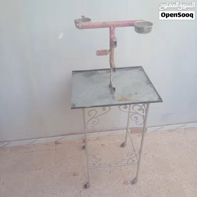 حاملة طائر الببغاء 3