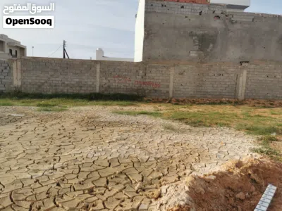 أرض للبيع في عين زارة القبائلية 4