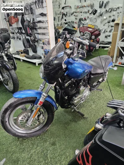 Harley Davidson 1200 Custom 2