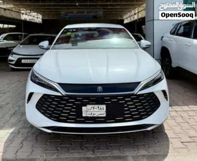بیوایدی Qin 4