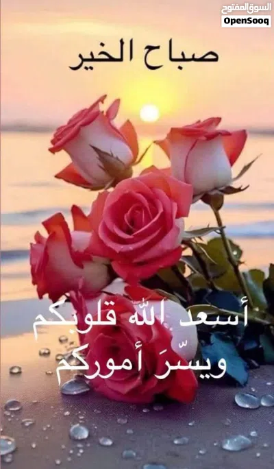 شقه مفروشه في حي سكني ممتاز شارع نصر 3