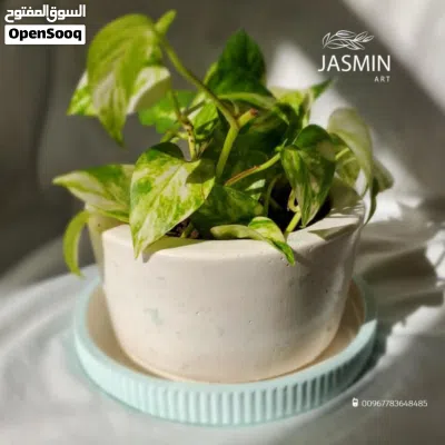 اصيص زراعي للنبات الطبيعي 2