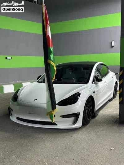 Tesla Model 3 Standard 2